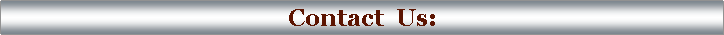 Text Box: Contact  Us: